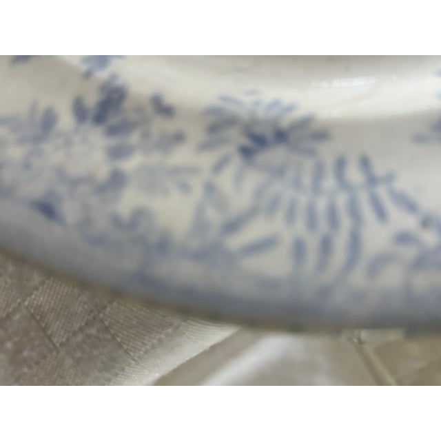 Mid 19th Century Asiatic Pheasant Dinner Plate For Sale In Lexington, KY - Image 6 of 12