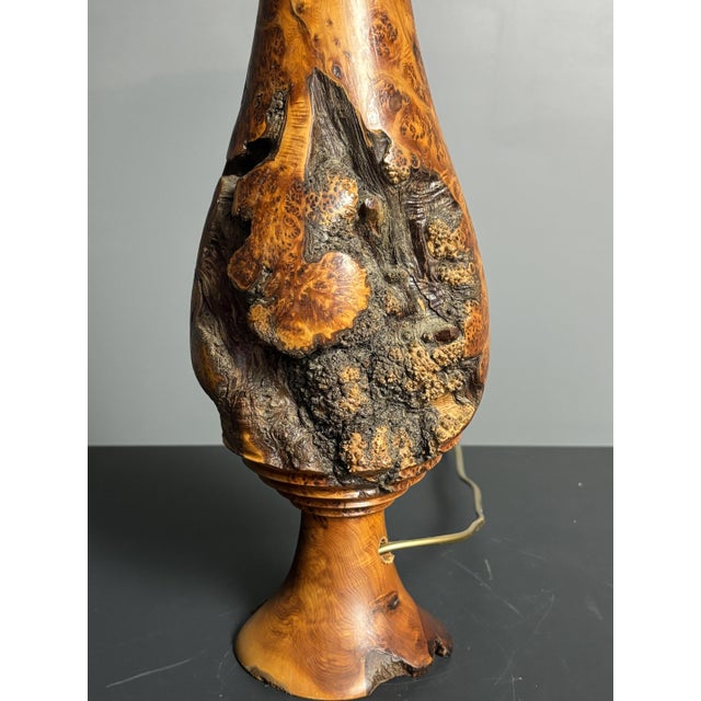 Mid-Century Brutalist Sculptural Table Lamp in Burl Wood, France, 1960s For Sale - Image 12 of 14