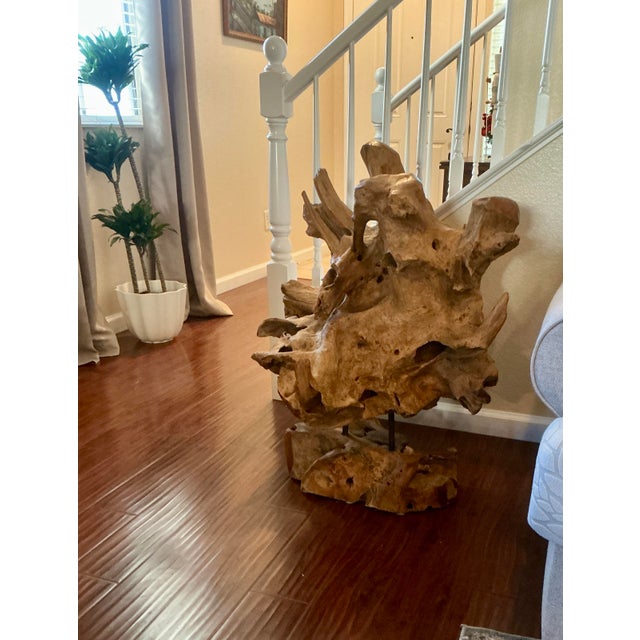 Late 20th Century Organic Cyprus Root Sculpture - One of a Kind Statement Piece! For Sale - Image 5 of 12