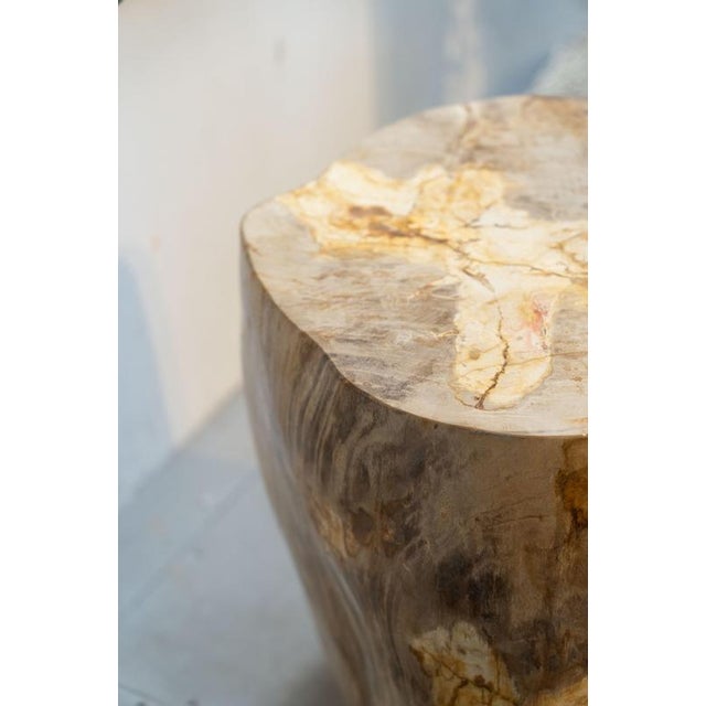 Petrified Wood Side Table, 1970s For Sale - Image 6 of 9