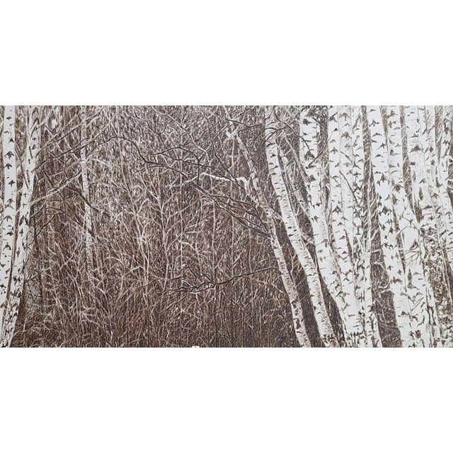 Contemporary Elzbieta Siegoczynska, Kabacki Forest, 2025, Ink on Paper For Sale - Image 3 of 6
