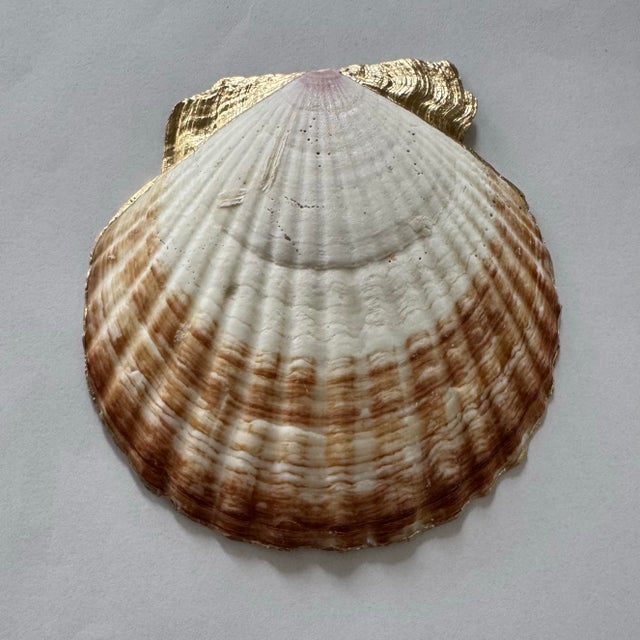 2020s Jacobean Floral Shell Ring Dish Scallop Trinket Dish Boho Maximalist Decor Gift For Sale - Image 5 of 5