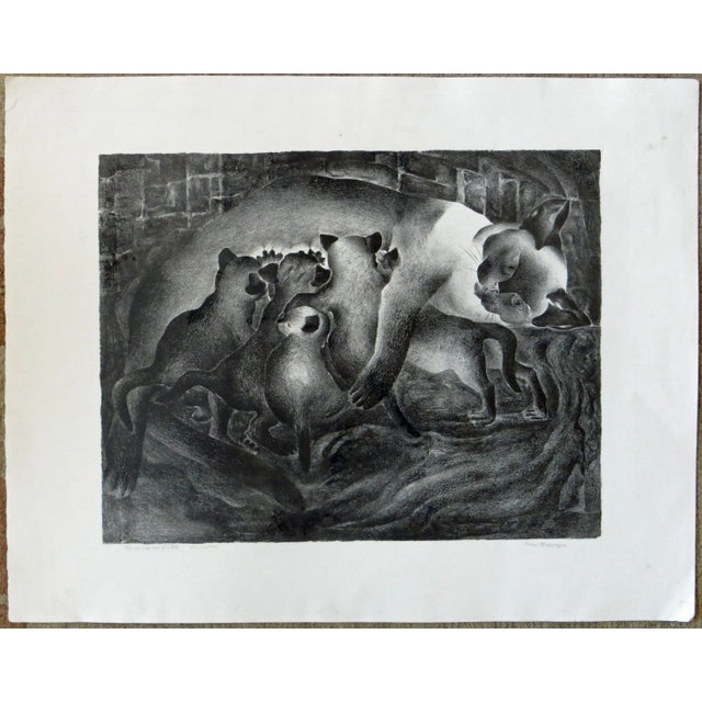 Circa 1930 "Thaia and Her Quints" Cat Lithograph by Ivan Messenger For Sale - Image 9 of 9