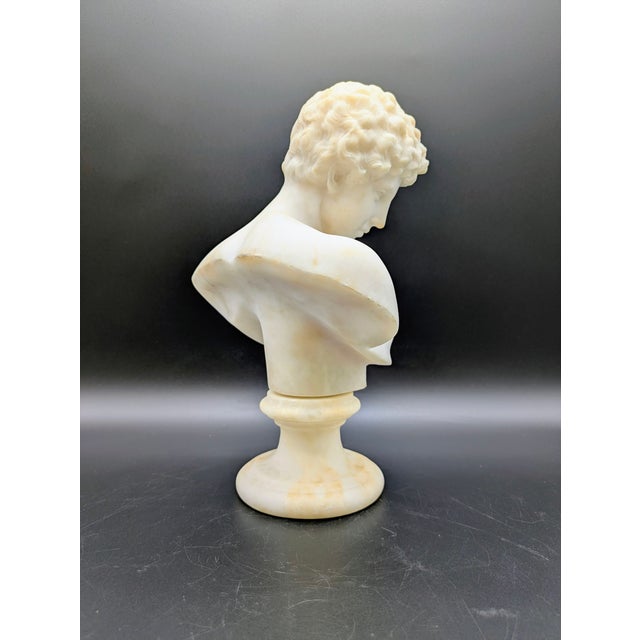 19th Century Grand Tour Alabaster Bust: Capitoline Antinous For Sale - Image 4 of 13