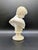 19th Century Grand Tour Alabaster Bust: Capitoline Antinous For Sale - Image 4 of 13