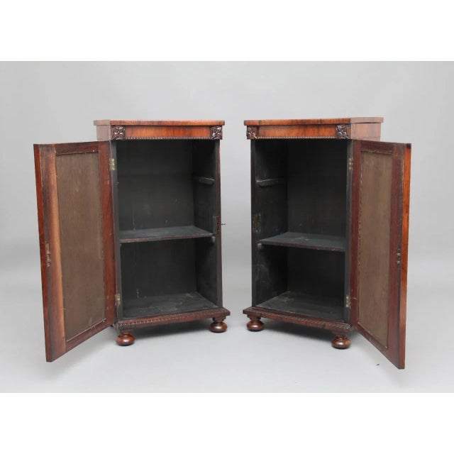 Rosewood Pedestal Cabinets, 1830s, Set of 2 For Sale - Image 3 of 14
