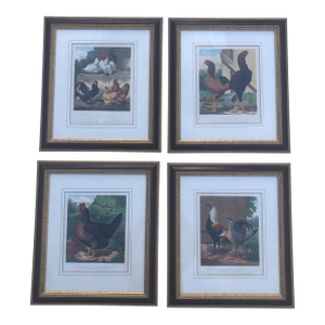 Late 19th Century Cassell & Co Framed Lithograph Prints of Poultry, Set of 4