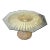 1970s Vintage Hollywood Regency Palm Base Table From Chelini Florence, Italy, 1970s For Sale