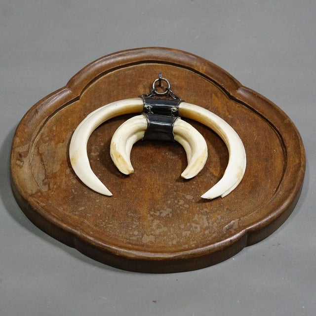 Vintage Wild Boar Trophy on Wooden Plaque, Germany 1970s A vintage Black Forest wild boar trophy on wooden plaque. The...