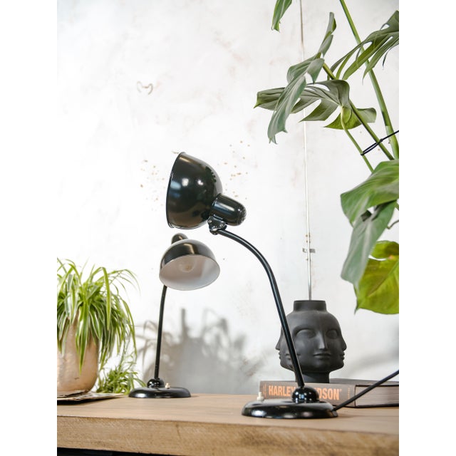Vintage Bauhaus Desk Lamps by Christian Dell for Kaiser Leuchten, 1940s, Set of 2 For Sale - Image 11 of 15