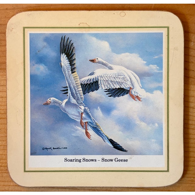 Vintage Traditional Duck Goose Waterfowl Coasters - Sset of 6 For Sale In Washington DC - Image 6 of 11