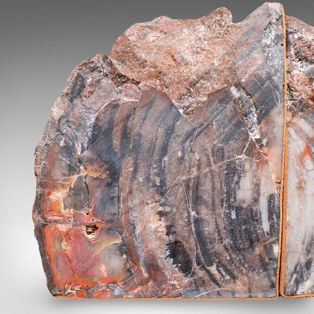 Pair of Prehistoric Large Volume Bookends, Petrified Wood, Book Rest, Geological For Sale - Image 11 of 12