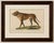 Antique English Mastiff Dog Lithograph by Karl Joseph Brodtmann, 1816 This striking early 19th-century hand-colored...