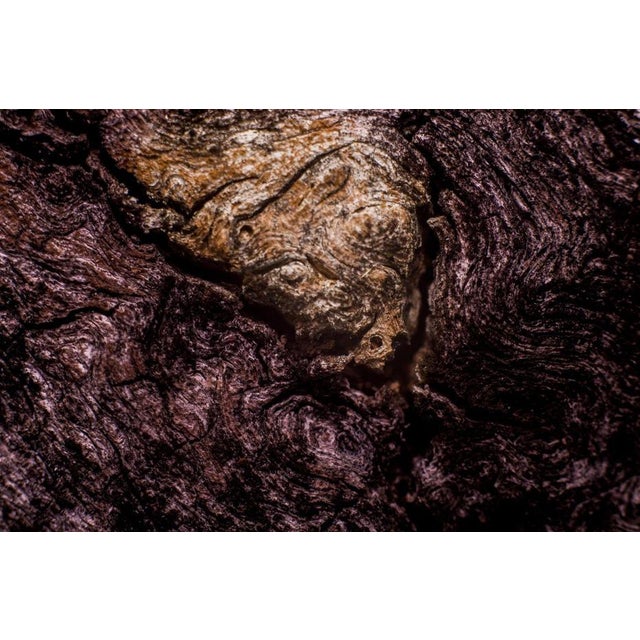 Marko Milić, Howl of Terror, Abstract Photography For Sale - Image 6 of 6