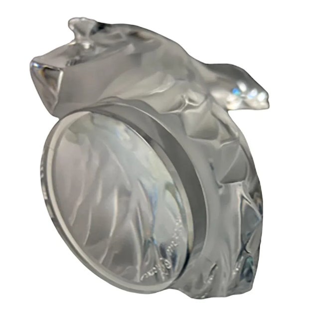 Lalique Tete De Coq Rooster Hood Ornament For Sale In Dallas - Image 6 of 7