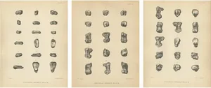 Marsh, Paleontology Illustrations of a Dinoceras Mirabile, 1886, Prints, Set of 3