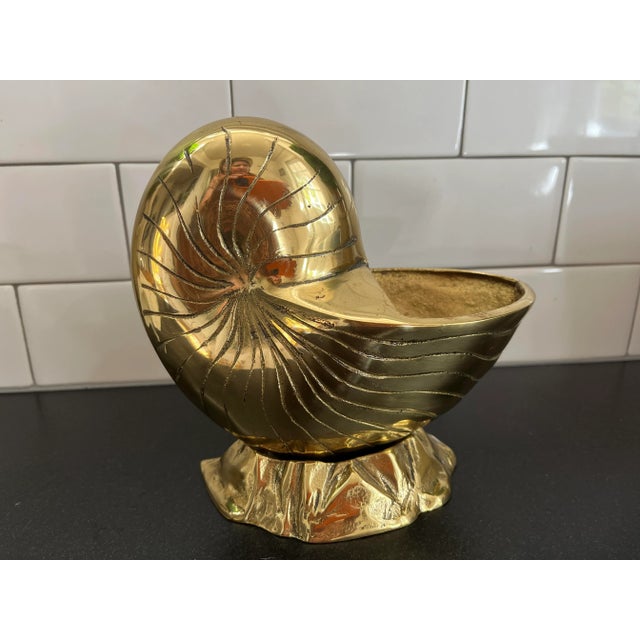 This is a classic piece for any room. Use it in your bookcase, bathroom, kitchen or anywhere you need a small plant. The...