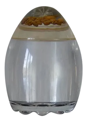 1970’s Mid Century Egg Shape Coffee Storage Container With Coffee Beans Cover