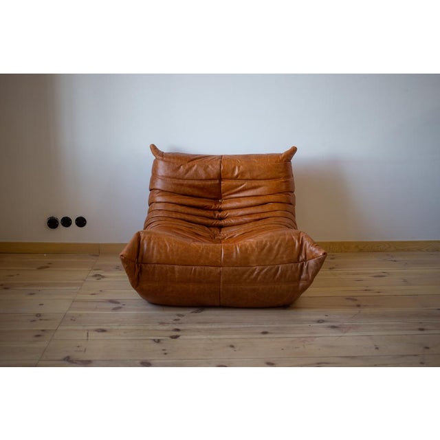 1970s Togo Chaise Lounge in Pine Leather by Michel Ducaroy for Ligne Roset, 1974 For Sale - Image 5 of 5
