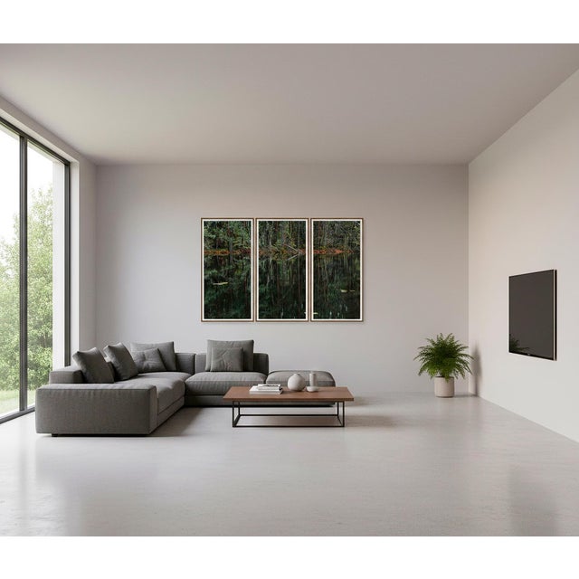 Paper "Deep_Mirroring_Forest_006" Triptych, Limited Edition Fine Art Photograph by Bernhard Lang, Set of 3 For Sale - Image 7 of 12