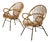 Mid-Century Rattan Armchairs, 1960s, Set of 2 For Sale