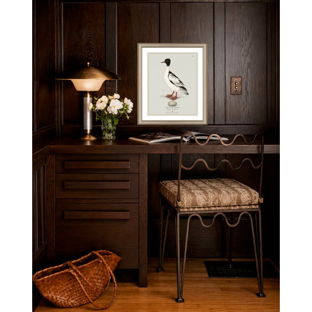 William Lewin 1789 Waterbirds Fine Art Gallery Board Print - The Goosander For Sale In San Antonio - Image 6 of 11