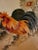 Mid 20th Century Vintage Old Chinese Silk Embroidery of Rooster Scroll For Sale - Image 5 of 13