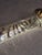 Metal Vintage Hazorfim Israel 925 Sterling Silver Mezuzah Case, Spiral Swirl Repousse For Sale - Image 7 of 18