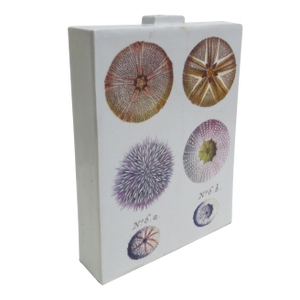 Fabienne Jouvin Paris 2-Sided Porcelain Jar/Vase - A Study of Sea Urchins