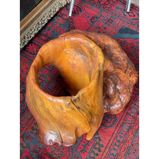 Brown Abstract Free Form Burled Wood Sculpture Plant Stand Modern For Sale - Image 8 of 12
