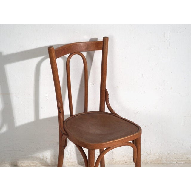Brown Antique Bentwood Chairs, Central Europe, 1900s, Set of 6 For Sale - Image 8 of 16