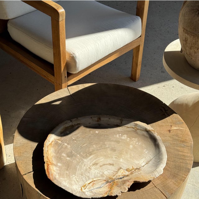 Large Beige Petrified Wood Storage Tray or Dish For Sale - Image 10 of 18