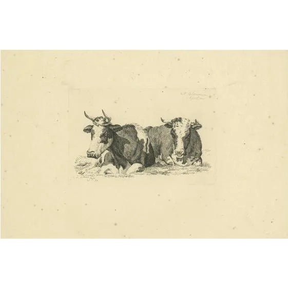 Anthony Oberman, Pastoral Scene with Two Resting Cows, 1810, Print For Sale
