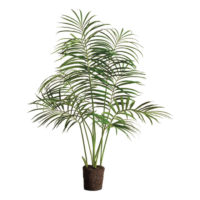 Palm Tree Drop-In 50" For Sale