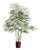 Palm Tree Drop-In 50" For Sale