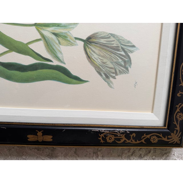 1990s 1990s Tulip Mania Set of Four Botanical Lithograph Prints From Scully & Scully in Black/Gold Scroll Frames - Set of 4 For Sale - Image 5 of 18