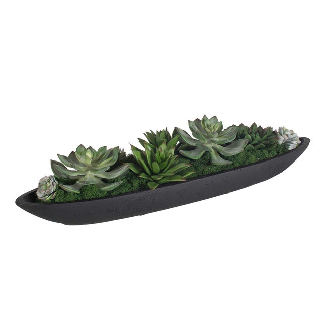 Kenneth Ludwig Chicago Verde Succulent Centerpiece In Bowl For Sale - Image 4 of 8