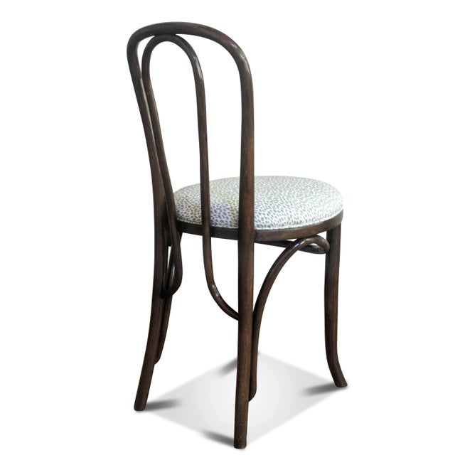 Early 20th Century Bentwood Cafe Chair - Animal Print Fabric For Sale - Image 5 of 10