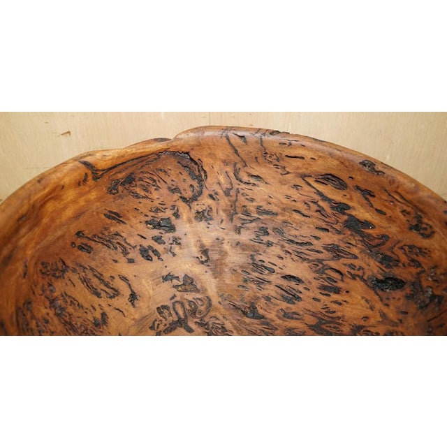 Wood Large Burred Eucalyptus Bowl from B Moss For Sale - Image 7 of 15