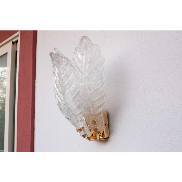 Set of 4 Florence Murano Wall Light Transparent Leaves, 1970 For Sale - Image 6 of 13