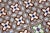 Cream Art Nouveau / Early Art Deco Design Set of 33 Portuguese Geometric Tiles Multicolor c.1900s For Sale - Image 8 of 18