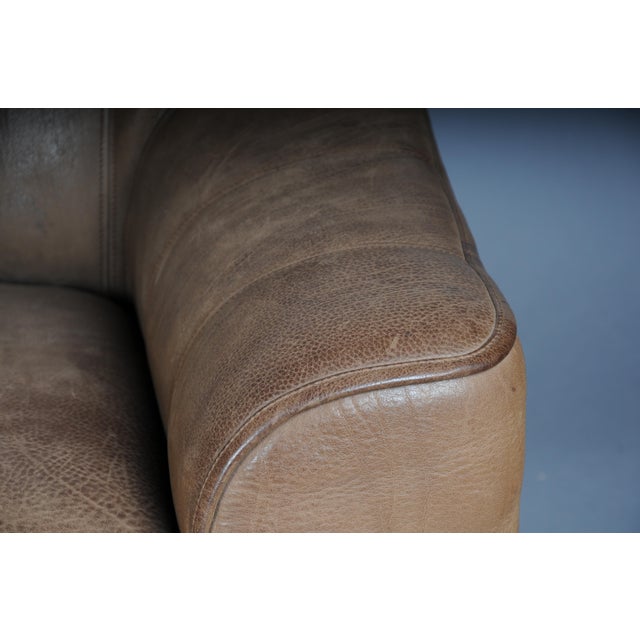 Animal Skin DS44 3-Seater Sofa in Buffalo Leatherfrom de Sede, 1970s For Sale - Image 7 of 18