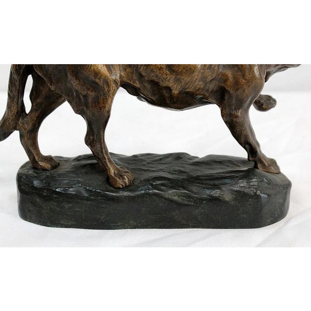 T.F. Cartier, German Shepherd Dog, Early 20th-Century, Bronze For Sale - Image 17 of 18