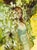 Jasmine by Nadezda | Oil on Panel Portrait of a woman among jasmine flowers For Sale