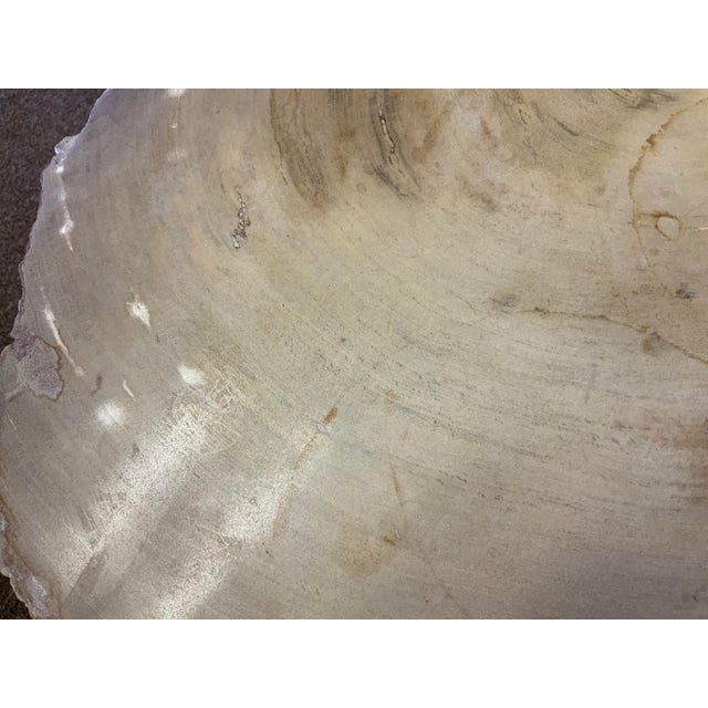 20th Century Petrified Wood Slab Table For Sale - Image 9 of 10