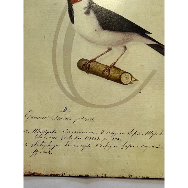 Sculpture Materials Set of 3 Tin Wall Plaques Decorated With Edward’s Birds Transferred, 1930s For Sale - Image 7 of 13