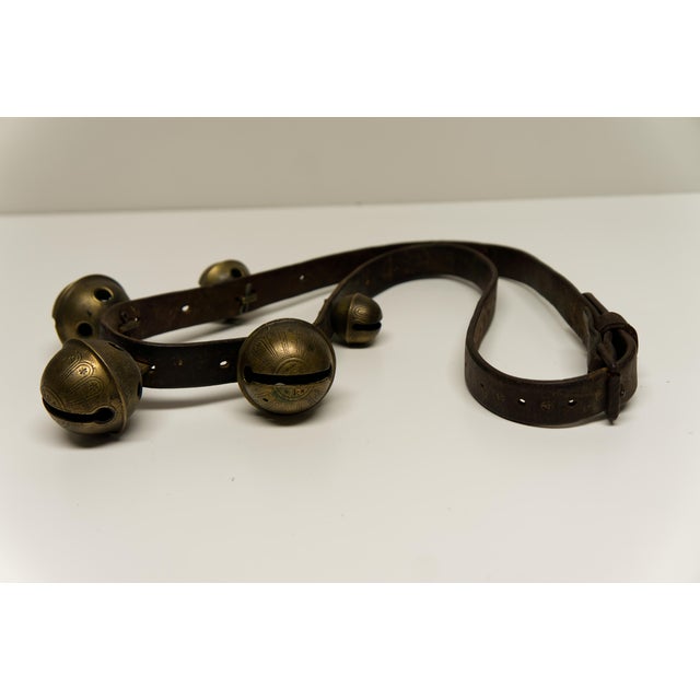 Victorian Late 19th Century Five Brass Sleigh Bells on Leather Belt For Sale - Image 3 of 4