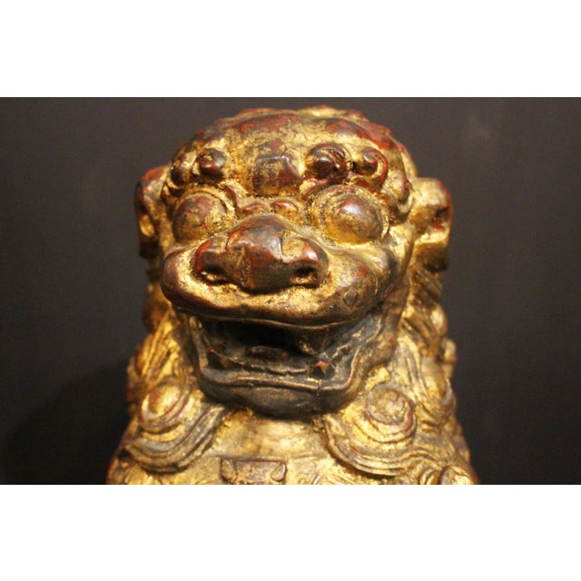 Mid 20th Century Early-Mid 20th Century Carved Female Foo Lion For Sale - Image 5 of 5