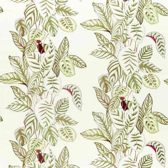 Sanderson Calathea Fabric in Olive - a Sample For Sale