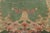 Early 20th Century Antique Green Chinese Art Deco Oval Rug - 02'07 X 04'05 For Sale - Image 5 of 10